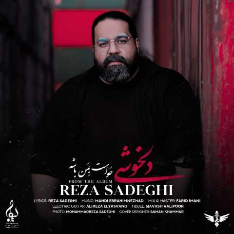 Reza Sadeghi Delkhoshi